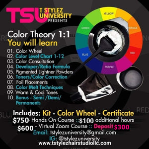 Color Theory 1:1 Private Class Deposit