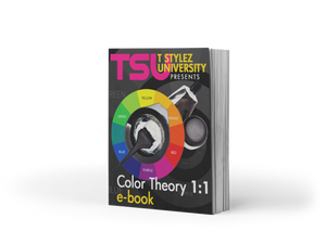 Color Theory 1:1 Ebook